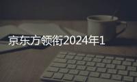 京東方領銜2024年11月全球液晶電視面板市場