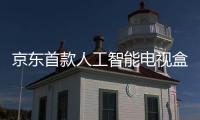 京東首款人工智能電視盒子！為什么聯(lián)合泰捷WEBOX推出？