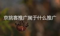 京挑客推廣屬于什么推廣（京東怎么運營）