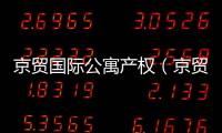京貿國際公寓產權（京貿國際公寓二手房）