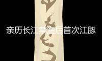 親歷長江禁漁后首次江豚科考，在干旱的鄱陽湖尋找江豚
