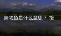 親吻魚是什么意思？ 接吻魚寓意