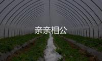 親親相公