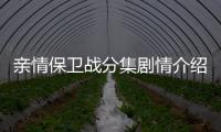 親情保衛戰分集劇情介紹