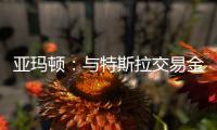 亞瑪頓：與特斯拉交易金額較小未涉及新能源汽車領域相關合作