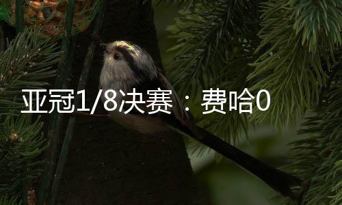 亞冠1/8決賽：費(fèi)哈0