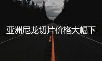 亞洲尼龍切片價格大幅下挫