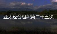 亞太經合組織第二十五次領導人非正式會議發布宣言
