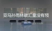 亞馬孫雨林碳匯量沒有預(yù)期的高