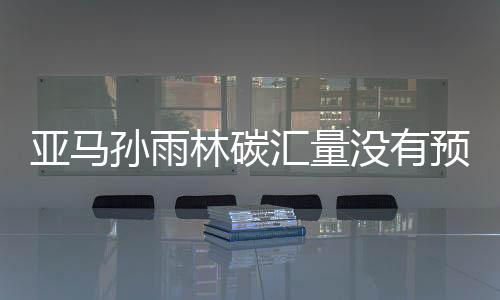 亞馬孫雨林碳匯量沒有預期的高