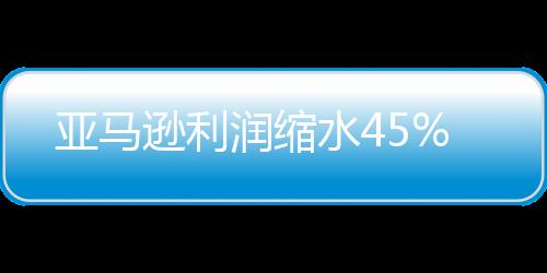 亞馬遜利潤縮水45%
