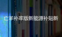 亡羊補(bǔ)牢版新能源補(bǔ)貼新政或本月月底出