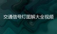 交通信號燈圖解大全視頻（交通信號燈圖解）