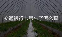 交通銀行卡號忘了怎么查（銀行卡號忘了怎么查）