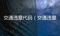 交通違章代碼（交通違章代碼）
