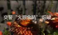 交警“火眼金睛” 識破涉牌涉證交通違法行為