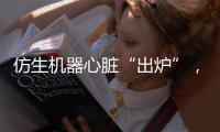 仿生機器心臟“出爐”，為疾病治療提供新平臺—新聞—科學(xué)網(wǎng)