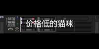 價(jià)格低的貓咪