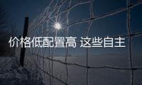 價格低配置高 這些自主SUV家用真靠譜！