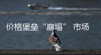 價格堡壘“崩塌” 市場份額十四連降