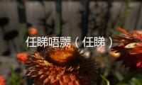 任睇唔嬲（任睇）