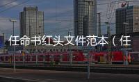 任命書紅頭文件范本（任命書的格式）
