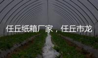 任丘紙箱廠家，任丘市龍盛印刷廠，任丘紙盒廠家