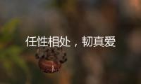 任性相處，韌真愛
