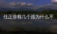 任正非有幾個孩為什么不同姓,任正非幾個妻子幾個孩子