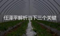 任澤平解析當下三個關鍵詞：通脹預期、流動性拐點、不急轉彎