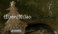 任(rèn)勞(láo)任(rèn)怨(yuàn)網友是怎么說的！
