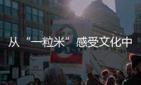 從“一粒米”感受文化中國