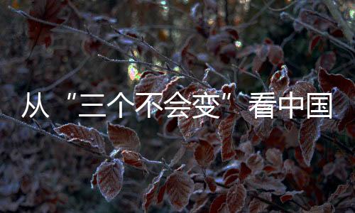 從“三個不會變”看中國吸引外資新路徑