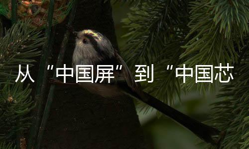 從“中國屏”到“中國芯”