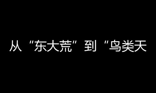 從“東大荒”到“鳥類天堂”的綠色蛻變