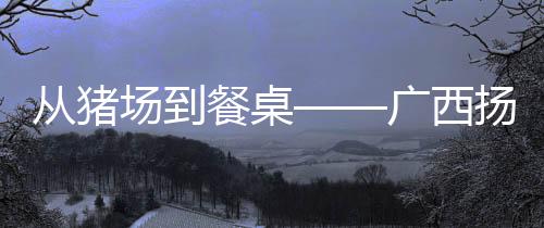 從豬場(chǎng)到餐桌——廣西揚(yáng)翔股份有限公司打造全產(chǎn)業(yè)鏈綜述