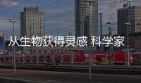 從生物獲得靈感 科學(xué)家研制出仿生低碳建筑材料