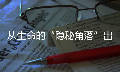 從生命的“隱秘角落”出發—新聞—科學網