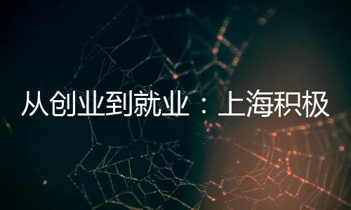 從創(chuàng)業(yè)到就業(yè)：上海積極助力臺(tái)青“圓夢(mèng)”