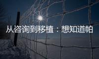 從咨詢到移植：想知道帕亞泰2試管嬰兒流程看這里