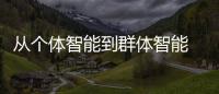 從個體智能到群體智能 遠(yuǎn)景的新機(jī)器時代