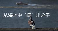 從海水中“聞”出分子 概念驗證裝置助力海水分析