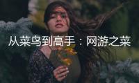 從菜鳥到高手：網(wǎng)游之菜鳥傳說，你也能成為傳奇！