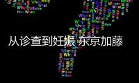 從診查到妊娠 東京加藤醫院試管嬰兒各項費用清單