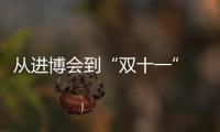 從進(jìn)博會到“雙十一” 線上線下消費(fèi)齊發(fā)力