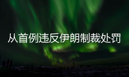從首例違反伊朗制裁處罰案看OFAC執法