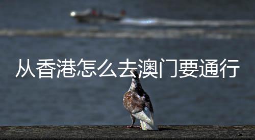 從香港怎么去澳門要通行證嗎，從香港怎么去澳門