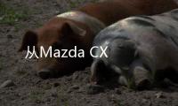 從Mazda CX