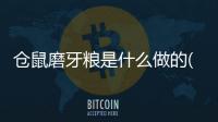 倉(cāng)鼠磨牙糧是什么做的(倉(cāng)鼠的磨牙棒怎么用)