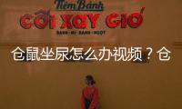 倉鼠坐尿怎么辦視頻？倉鼠總是坐尿怎么回事